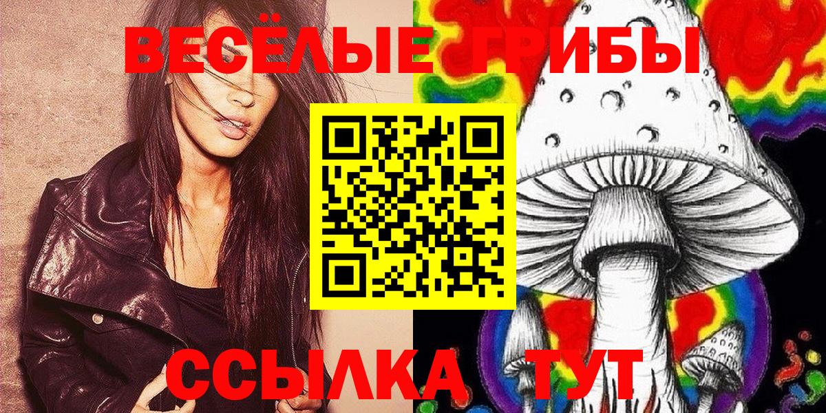 Псилоцибиновые грибы GOLDEN TEACHER Алушта